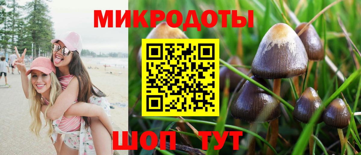 Вольск  Псилоцибиновые грибы Psilocybe  Псилоцибиновые грибы Psilocybine cubensis  Вход с VPN 